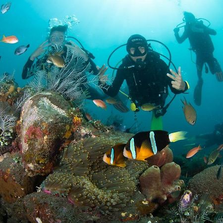 Bali Dive Resort Amed Dış mekan fotoğraf